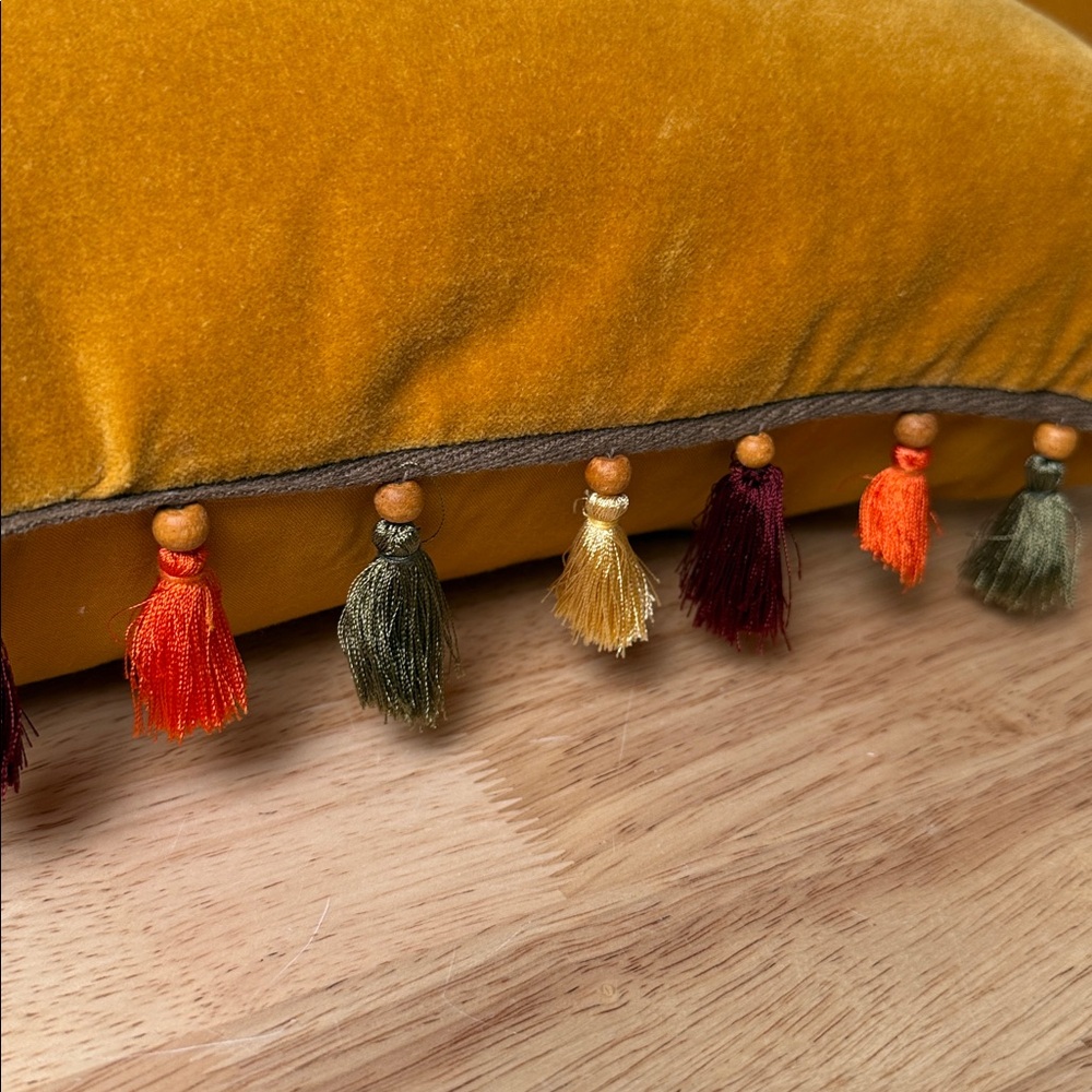 Set of Pier 1 Velvet boho pillow with tassels - Picture 3 of 13